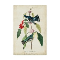 Zaštitni znak Likovna umjetnost' Cerulean Wood Warbler ' platnena Umjetnost Johna Jamesa Audubona