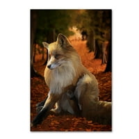 Zaštitni znak likovne umjetnosti Fall Fox umjetnost tina lavoie