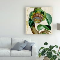 Zaštitni znak likovne umjetnosti 'Croppin Tropicals IV' Canvas Art by Vision Studio