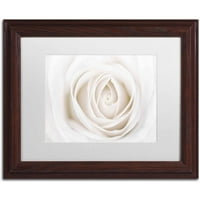 Zaštitni znak Likovna umjetnost' bijela ruža ' platno Art Od Cora Niele, bijeli mat, drveni okvir