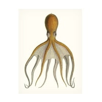 Nepoznata 'Antikna kolekcija hobotnice VI' Umjetnost platna
