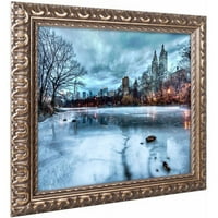 Zaštitni znak Likovna umjetnost Frozen Central Park Lake II Umjetnost platna Davida Ayasha, Zlatni okićeni